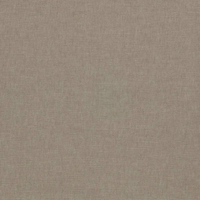 Clarke & Clarke Paradiso Fabric in Ash